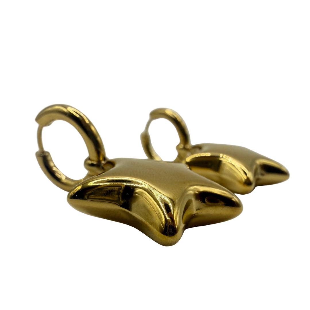 Star earrings