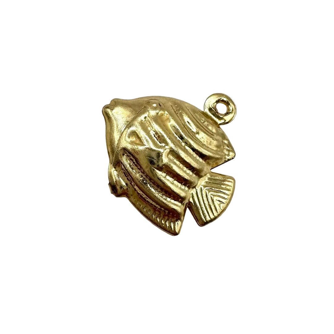 Caribbean Fish charm