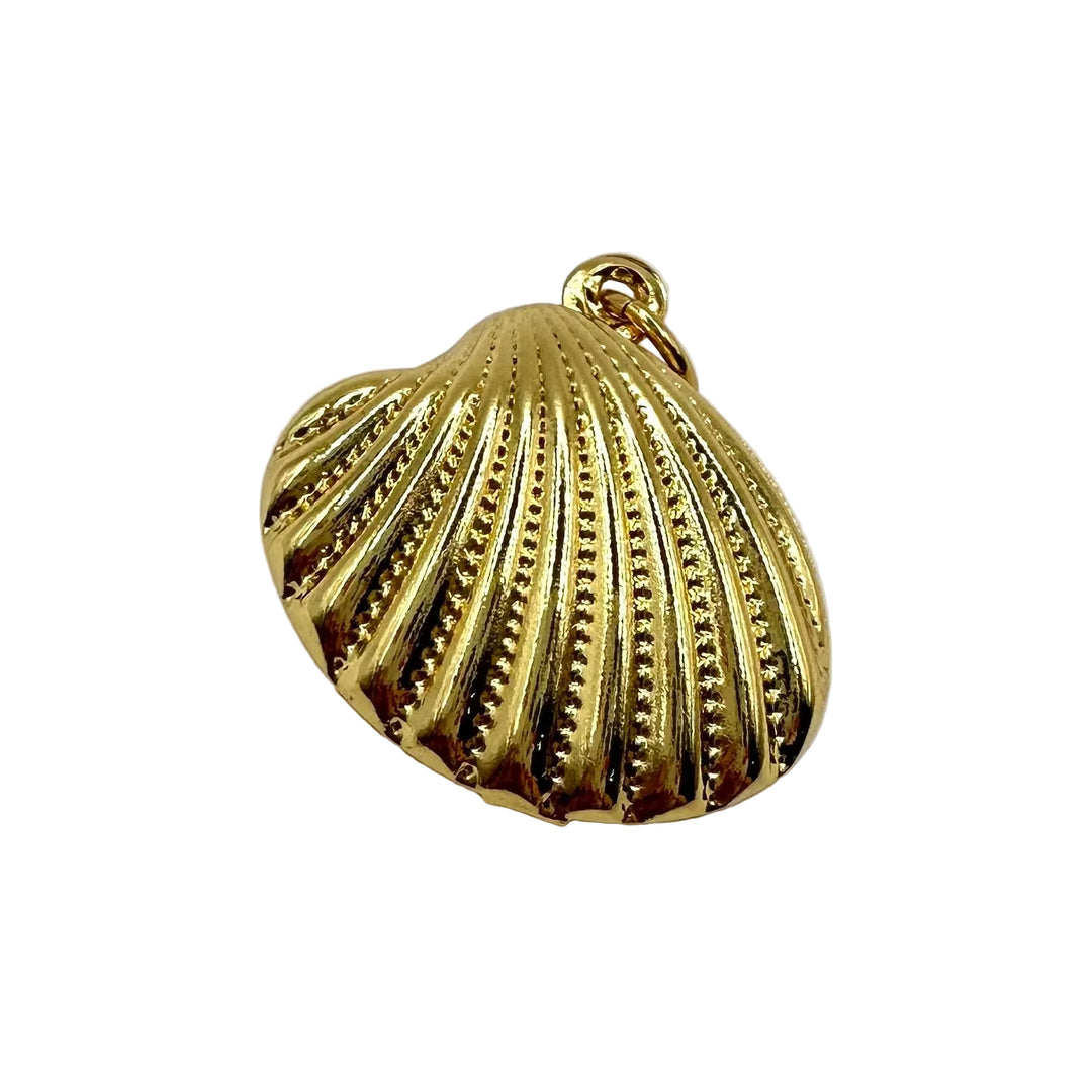 Tropical shell charm